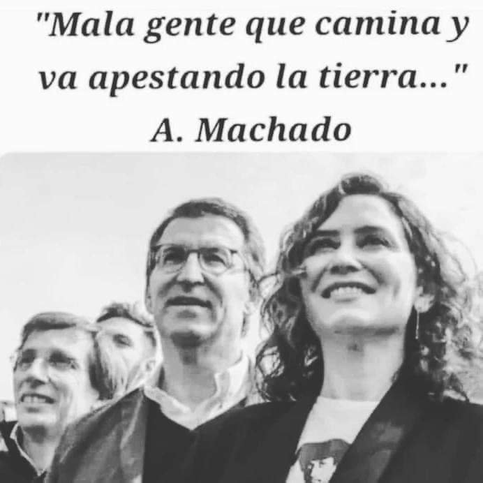VSanchezGn's tweet photo. @johnsixx256 #Ayuso7292 https://t.co/Vt93QJj3QP