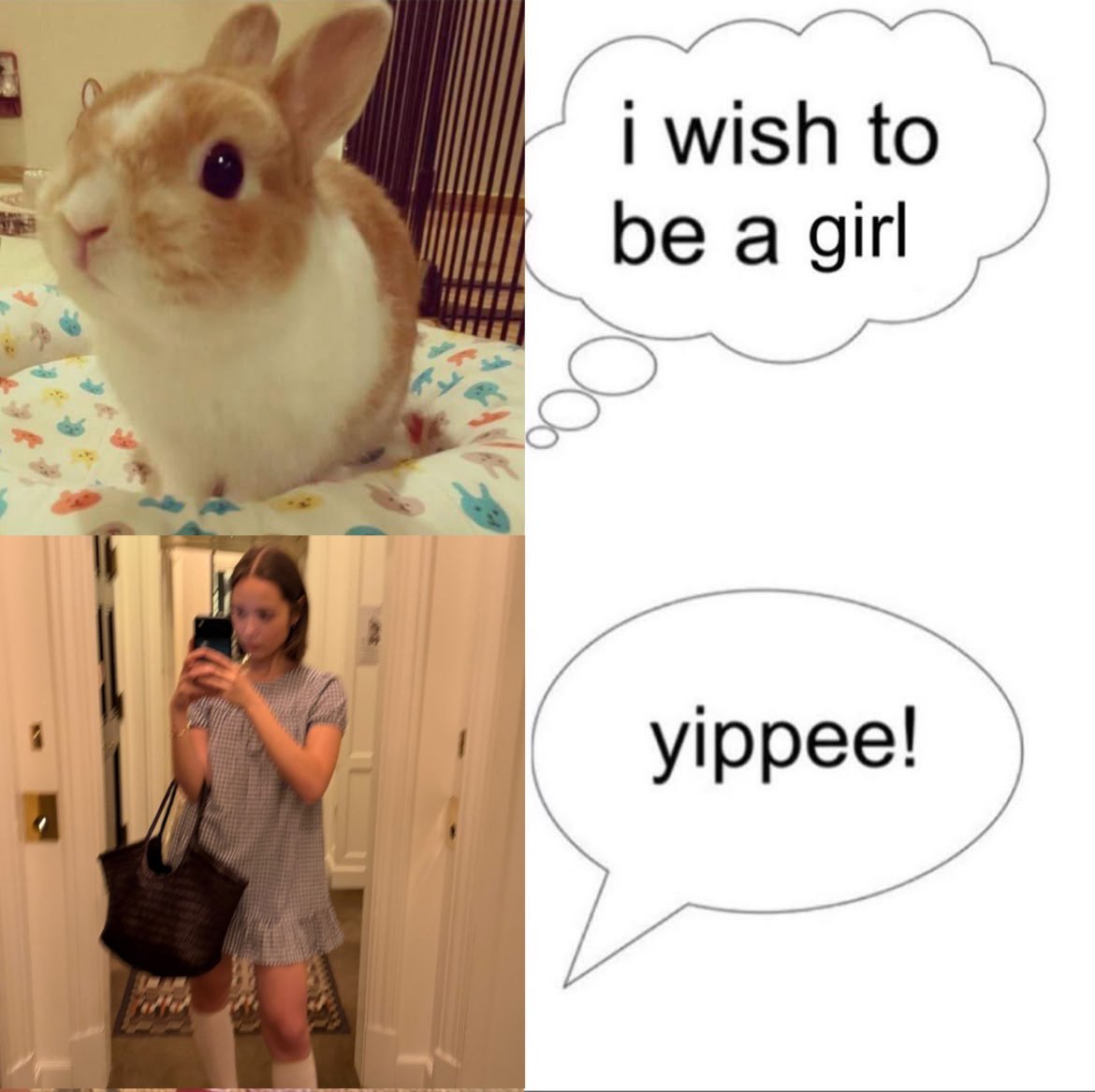 lauversdiscord's tweet photo. bunny laufey 🐰🤍 https://t.co/XHbCiCdlrK