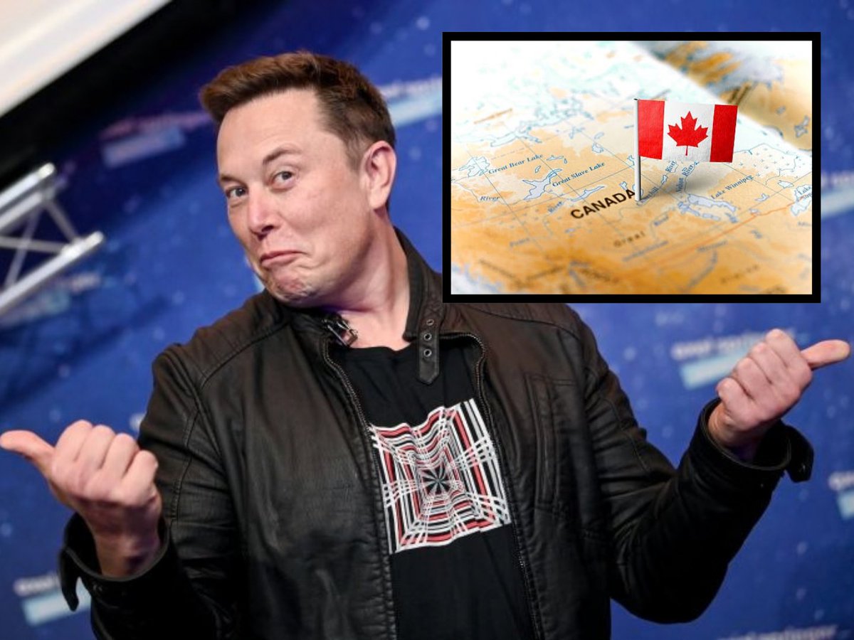 CanadaRoast's tweet photo. Should Elon Musk Buy Canada? https://t.co/6j6P3oLMw4