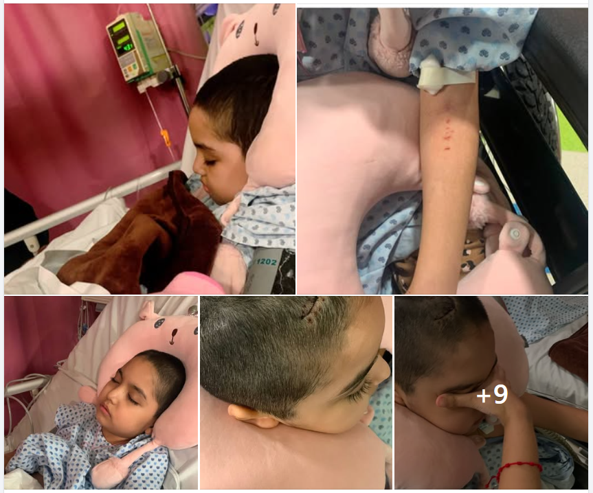 marcoaguiro's tweet photo. ¡Que lastima me das! dice madre de niña que murió por un cáncer infantil a la gobernadora Rocío Nahle.
Y también le reprocha que llame "show mediático" el sufrimiento de las madres con hijos que padecen ese mal:
"Ahora tu le llamas show mediático al sufrimiento de las madres" https://t.co/MPdFnSGBfy