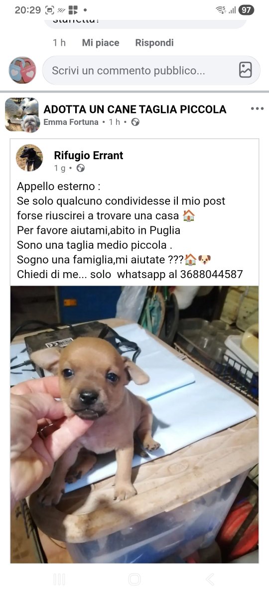 annina_cutillo's tweet photo. https://t.co/Q09zRYPSl5