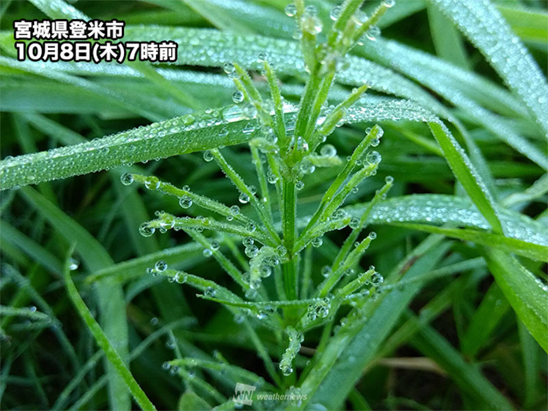 wni_jp's tweet photo. ＜冷え込んだ”寒露”の朝＞
今日8日(木)朝は放射冷却の影響で、全国各地で冷え込みが強まりました。東京や大阪などを含む、全国の約6割のアメダスで今季一番の冷え込みとなっています。

昼間は秋晴れとともに気温が上昇するため、朝と昼との大きな気温差に注意してください。
https://t.co/iELhfl55JF https://t.co/eij6IXRLre