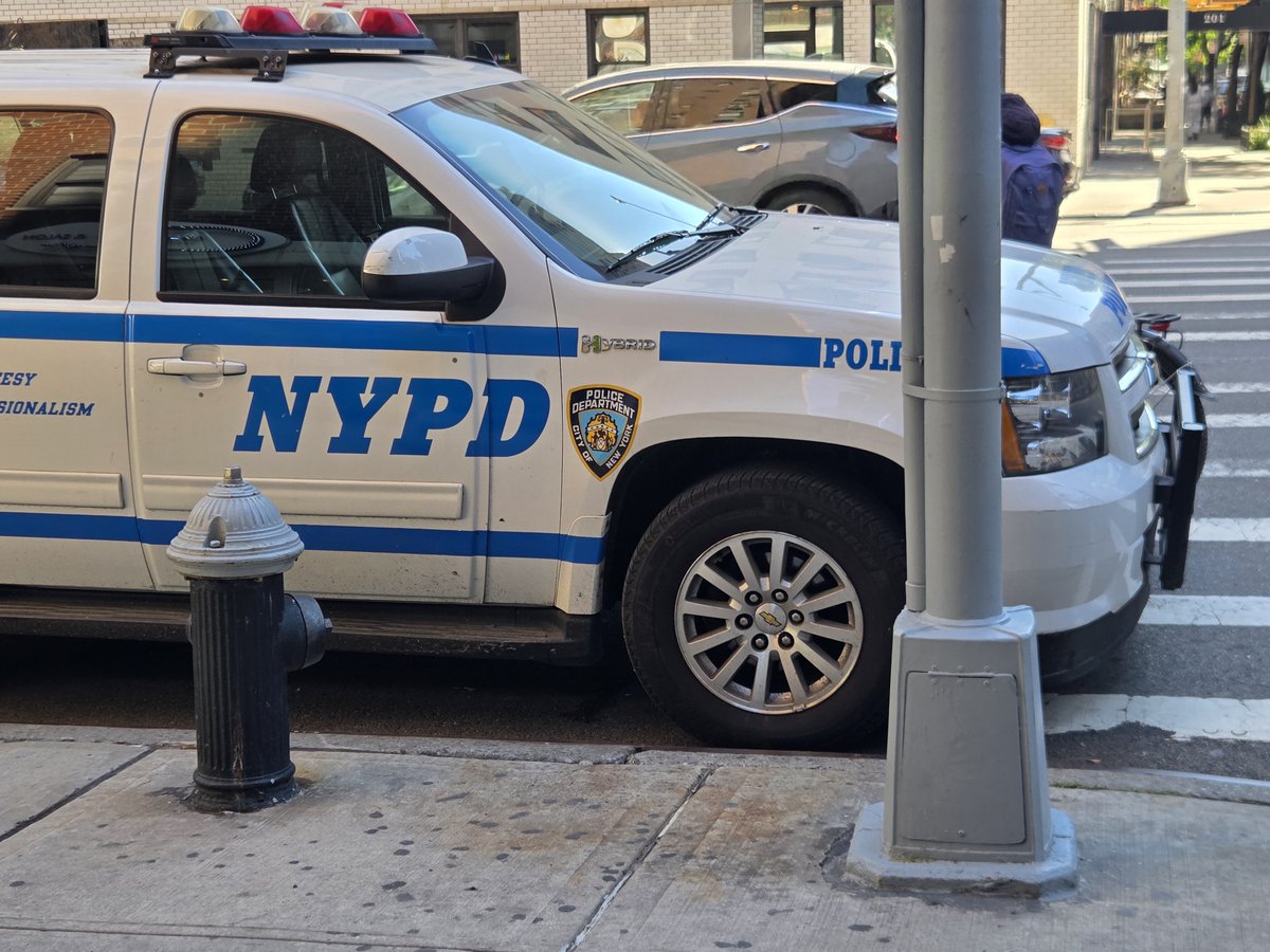 SilverFoxReturn's tweet photo. @placardabuse @NYPDEquity @NYPD50Pct @CivilRights @NYCMayor @NYCDisabilities @AAGDhillon @EricDinowitzNYC @JeffreyDinowitz @nypd13pct protecting @fdny fire hydrants all day https://t.co/sk0ERc3OUU