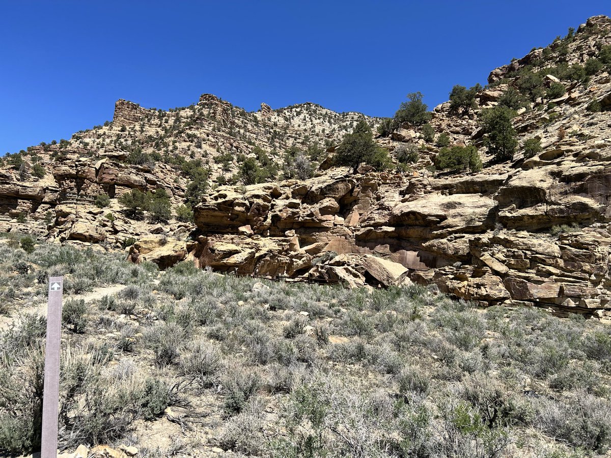 MaxHeadyUtah's tweet photo. Their greed can never be satiated. 

Enough. 

Save 9 Mile Canyon. 

#utpol https://t.co/R31QgUwsp3