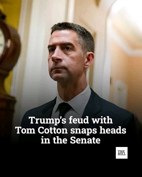 RFuryNews's tweet photo. The Senate still will not pass permanent daylight saving, because Tom Cotton is worried about dark mornings and the rest of the chamber is worried about being in Washington. https://t.co/uMENdiyTmY