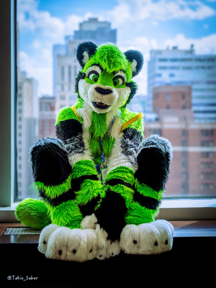 Puppymow's tweet photo. Puptober 🐶💚🦁 https://t.co/WhiURdqdrE