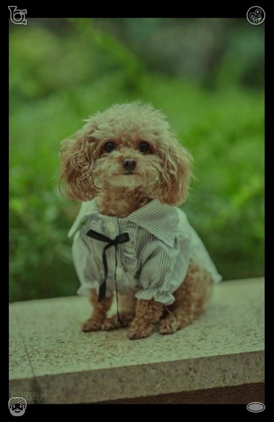 mlindaw tweet picture