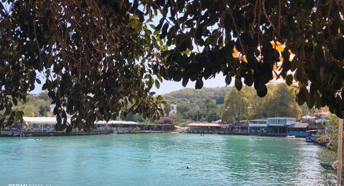 meltem456788's tweet photo. Doga ve huzur yazdan gerıye kalan... https://t.co/yYNHIldIW6