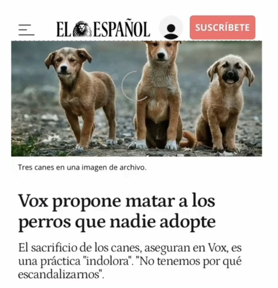 Neinei_rescue's tweet photo. Buen momento para recordaros https://t.co/oHXSGN5A50