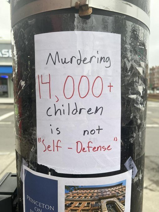 SaraReyi's tweet photo. Genocide is not self-defense! 

#GazaHolocaust https://t.co/ZerCXOlwXE