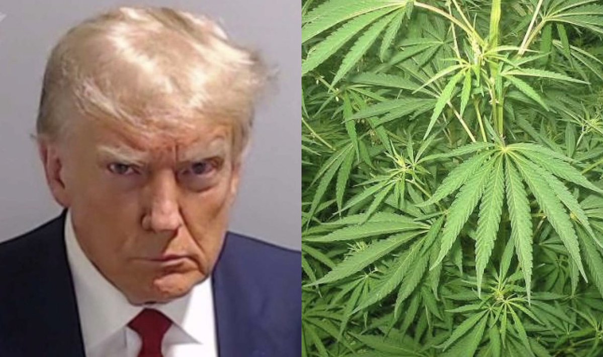 davenewworld_2's tweet photo. A DEA administrative judge has paused the federal rescheduling of marijuana because of delay tactics from opponents who want cannabis to be seen on the same level as heroin.

There's decades of scientific research and state-level medical data that clearly support moving marijuana out of Schedule I. The longer this takes, the worse it is for Americans.

As long as cannabis is listed under Schedule I next to heroin, federal law can treat simple possession and distribution as high-tier felonies. 

In states that haven't legalized pot, low-income communities face thousands of arrests, criminal records, and jail time for something that could be legal under a rescheduled federal framework. 

Our federal government moves lickety-split when it comes to concentration camps, human trafficking, gestapos, Flock cameras, data centers, Middle East wars, Epstein cover-ups, sucking up to Netanyahu, etc.... But when it comes to actually doing anything positive, there's always some technical, bureacratic obstacle to pull the brakes on it.