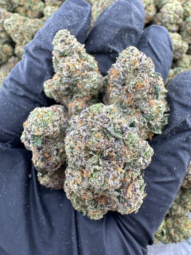 budboxing_'s tweet photo. ⬆️ Super cherry popper indoor🔥
Tap in‼️Actively replying DMs📲
https://t.co/mk8TmC70BI 🚚💨
#Dallas #TexasPlug #DallasFreaks #DallasMeetups #DallasMeets #texas #texasgirls #dallasgirls #Dallasdowntown #ATX #Dallasweed #DallasPlug #DallasCowboys #Zaza #Exotics #ZaTWT https://t.co/ThqxAc76l7