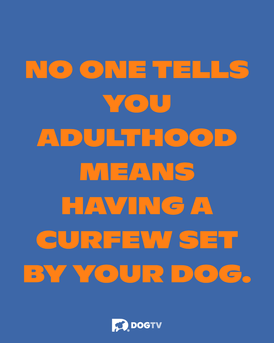 dogtv's tweet photo. And trust me, that dog has an excellent instinctual clock... 🤣⌛

#DogPeople #DogMom #DogDad #DogHumor #DOGTV https://t.co/pQrNY6CoFH