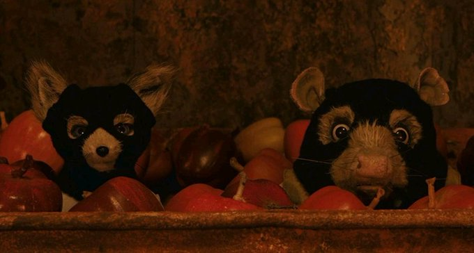 Gibboanxious's tweet photo. Fantastic Mr. Fox (2009)   

dir. Wes Anderson https://t.co/bl3i8wyqmM