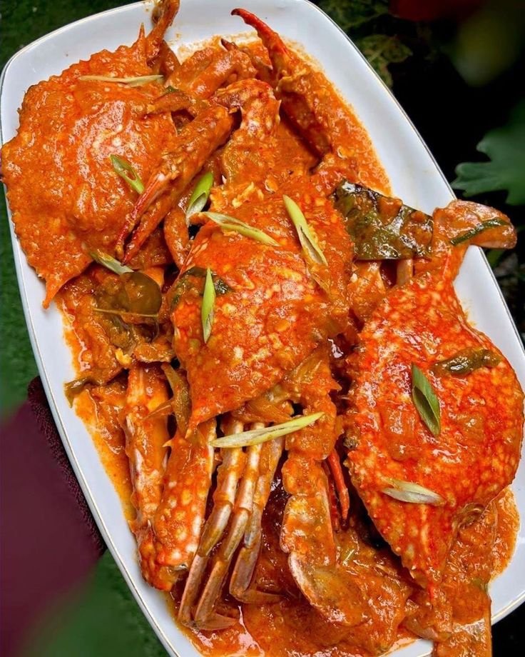Tnkeirbell's tweet photo. kepiting vs udang https://t.co/XOsiogqikM