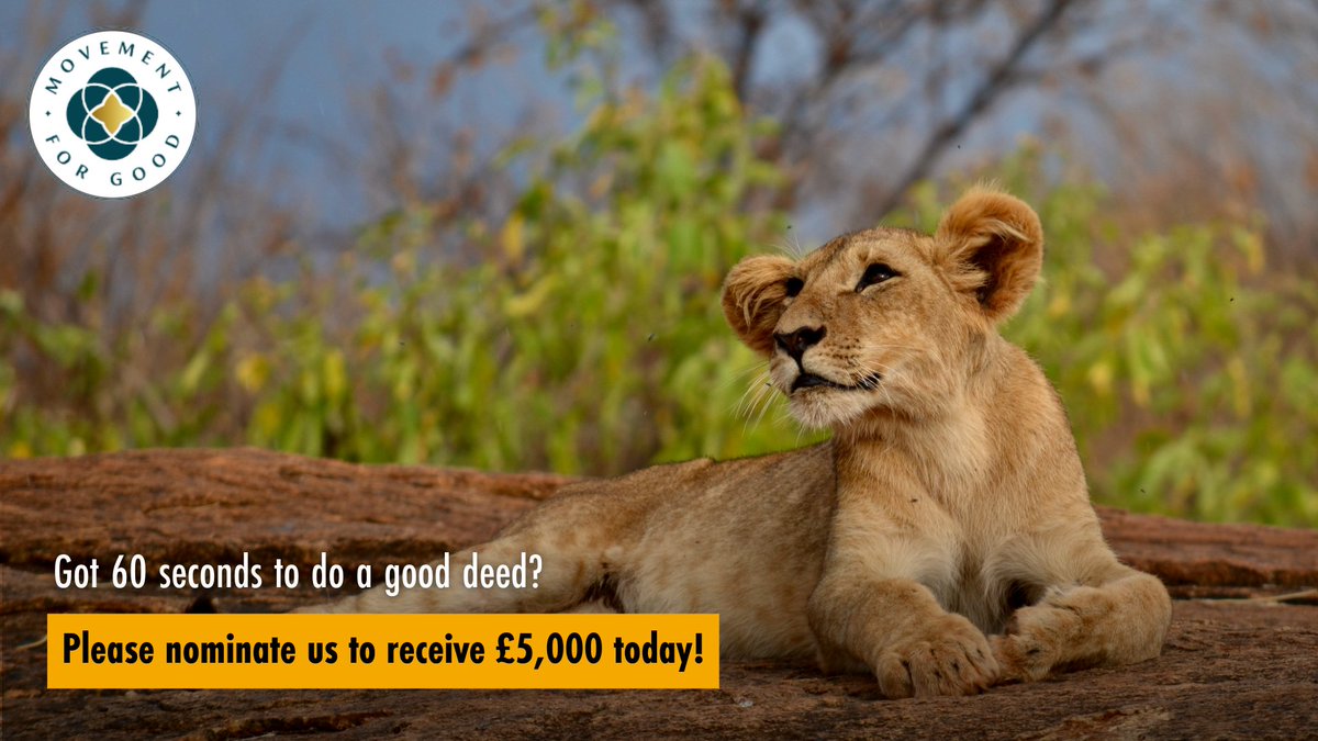 BornFreeFDN's tweet photo. We're nominated in the Benefact Group's Movement for Good Awards, where 10 animal and wildlife charities will each receive £5,000.

👉 Please take a minute to nominate Born Free today: https://t.co/MbzZi9Ocjh https://t.co/1QlUICZ9XK