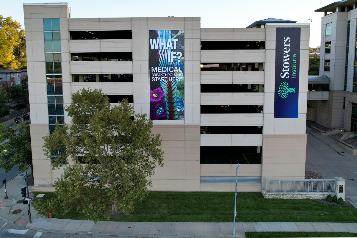 ScienceStowers's tweet photo. We have some BIG questions. 👀

So naturally, we put one on the side of our parking garage.

Our #Whatlf series launches this week, stay tuned: https://t.co/cYZANHkF4c https://t.co/agDKtQHwAU