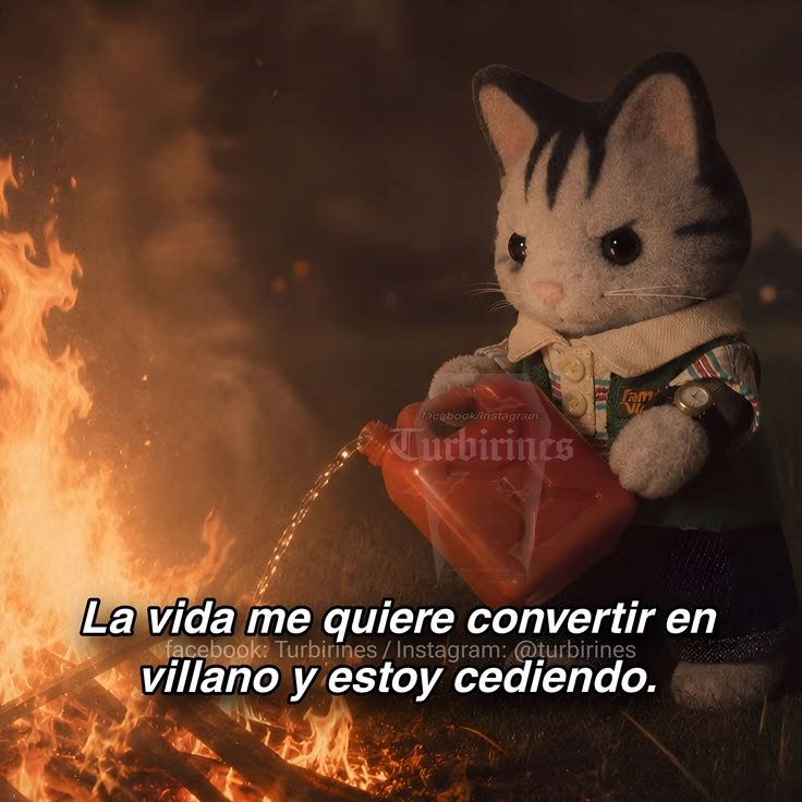 AlejandraN56289's tweet photo. https://t.co/KDVwkkzrFH