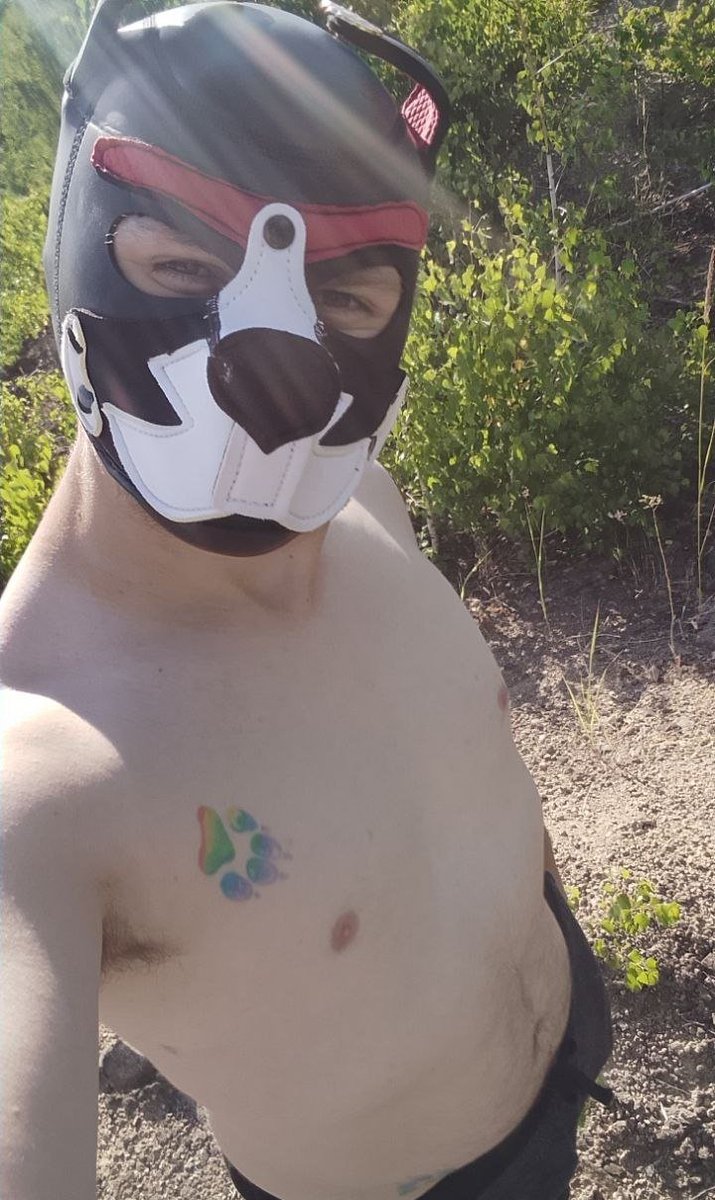 KelpixPUP's tweet photo. 🐶 Hey guys! 🏳️‍🌈

I'm 29, 166 cm, 18cm😜 tall. 🇺🇦
Moving from Ukraine to Berlin on October 27! 🇩🇪

Looking to meet a nice guy for friendship, walks, and maybe something more. ❤️

I'm into puppy play 🐾 Would love to chat now and meet up when I arrive! 💌

#puppyplay #berlin https://t.co/hyWulafhPX