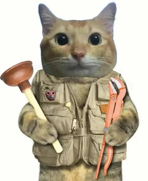 gampsito's tweet photo. This "sssdfg" cat is going viral for ionno what reason even.

Sssdfg is like goofy ahh ppl but gotta act serious.

just like memecoins.

They have even 200k subreddit group for the cat.

They all praisin this cat in reddit and doing new memes everyday.

Real name is babem.

So memeable....!!!!!

Reminder here we are trading memes still!!!

https://t.co/kMRDiP2MyC

https://t.co/a1GbkZB4Dp

https://t.co/w6WewHobtW