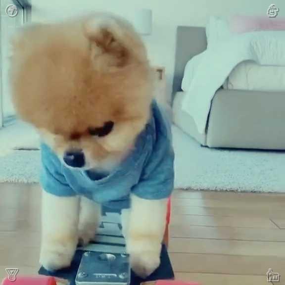 __remyyy's tweet photo. The rolling rhythm of football is the most powerful beat of youthful years urging us to keep struggling progressing and moving forward without stopping.🧢Baked Mashed Potatoes The potatoes are boiled https://t.co/JYMioB3Mei