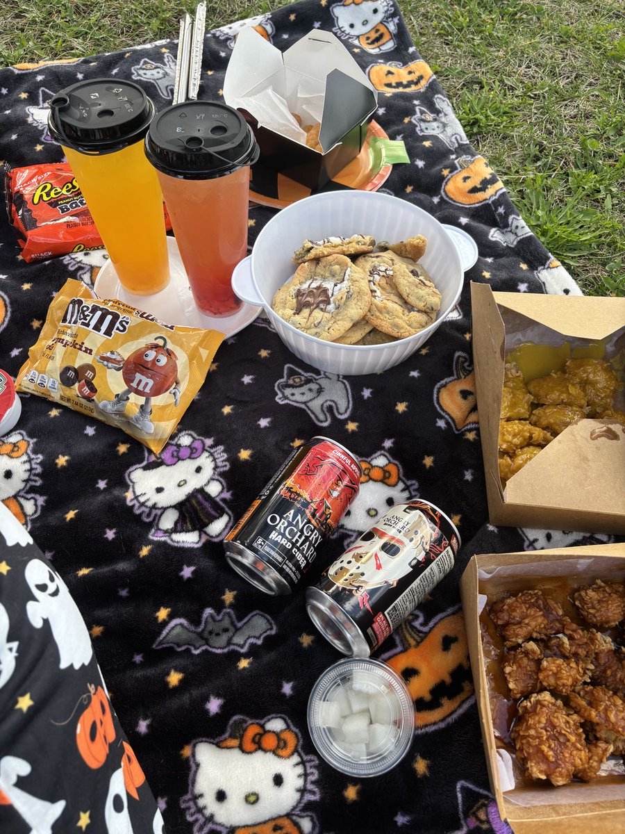 plugdontmiss's tweet photo. This is your sign for a spooky picnic date https://t.co/I4dhvlh2qR