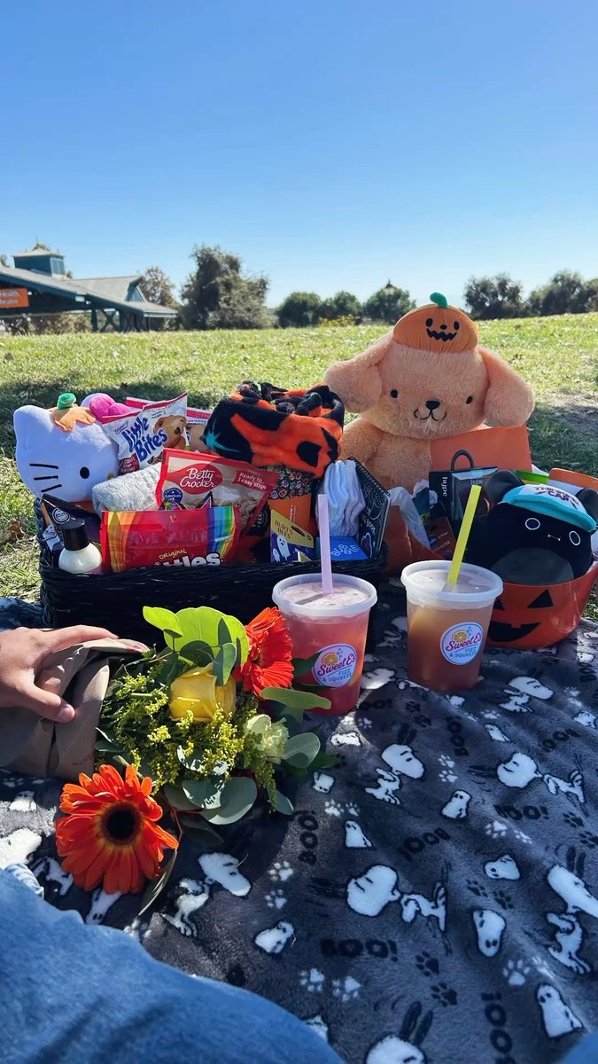 plugdontmiss's tweet photo. This is your sign for a spooky picnic date https://t.co/I4dhvlh2qR