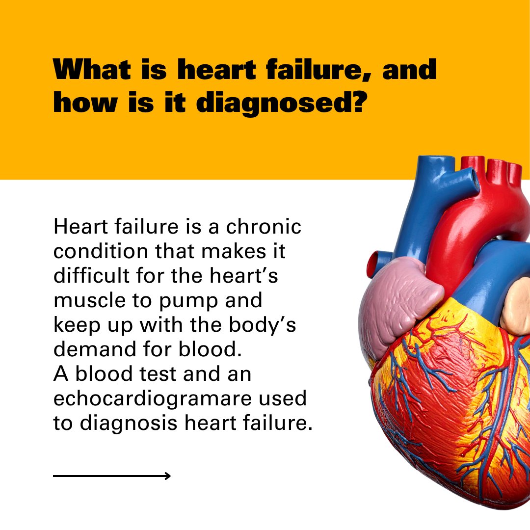 VCUHealth's tweet photo. A VCU Heath Pauley Heart Center cardiologist shares what to expect after a heart failure diagnosis. https://t.co/geETqDDPud @VCUHealthHeart 🫀 https://t.co/dJEMtcJeJa