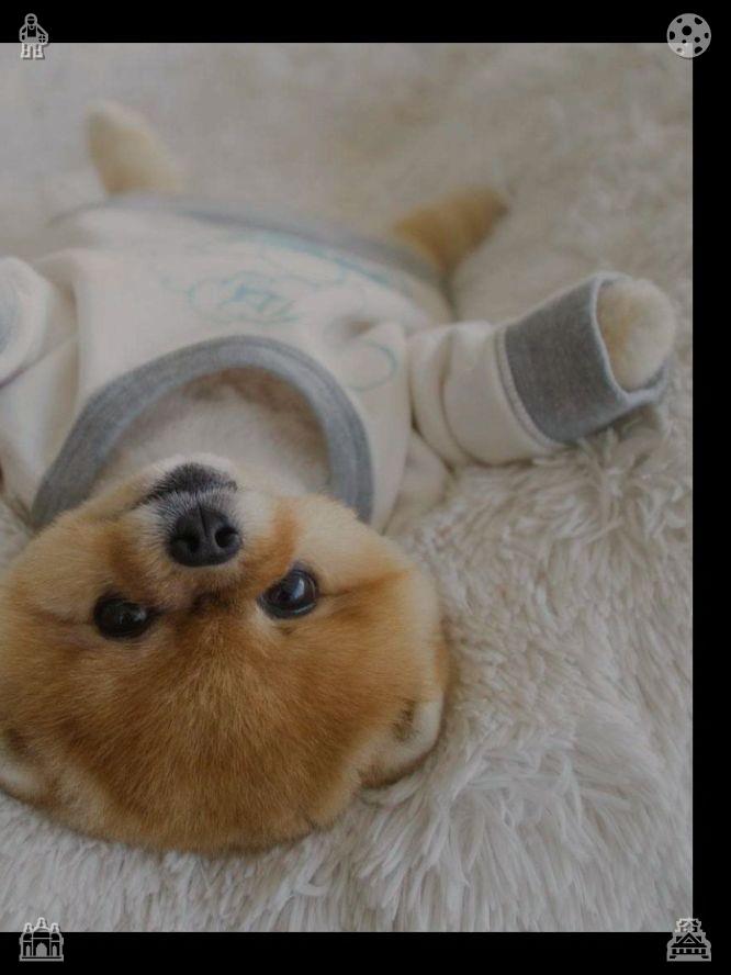 OsetoB's tweet photo. Surround yourself with people who sincerely celebrate your progress, not those who dismiss or mock your personal ambitions and quiet daily hard efforts. Positive supportive companions reinforce your self-belief during low confidence periods.📰Hamster Walk The hamster is active https://t.co/qwmMU1NSnY