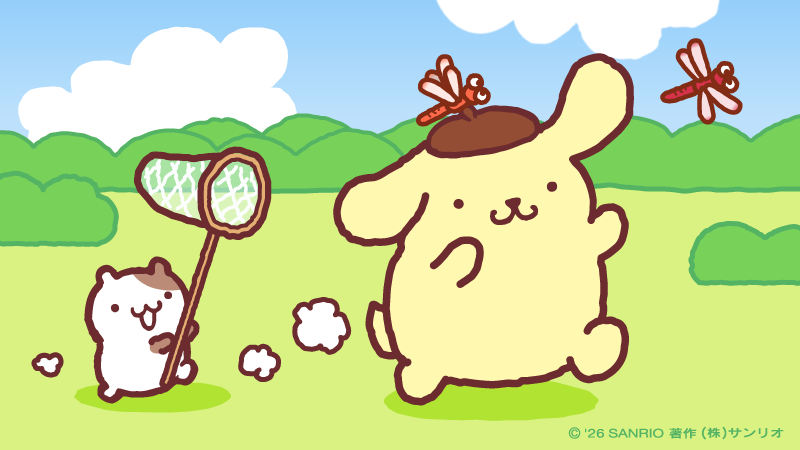 purin_sanrio's tweet photo. とんぼさん待って～どこいくの～ https://t.co/UpJzQ0JDhw