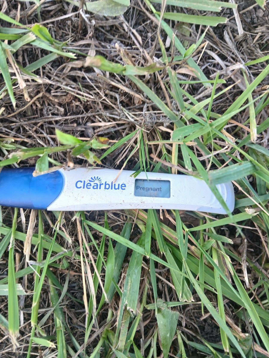DisrespectedThe's tweet photo. Outside trying to my truck fixed and seen this lying in the ditch. 😂😂😂 https://t.co/LkzOmCGJv8