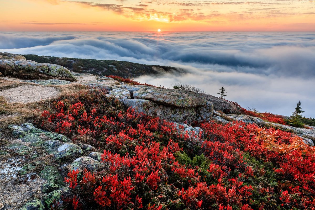 Interior's tweet photo. From October 7th to March 6th, Cadillac Mountain in @AcadiaNPS is the first place the sun appears each day in the continental United States. It offers magnificent views of a glaciated coastal and island landscape.

Photo by Shu Xu https://t.co/PTfGRP03Rz