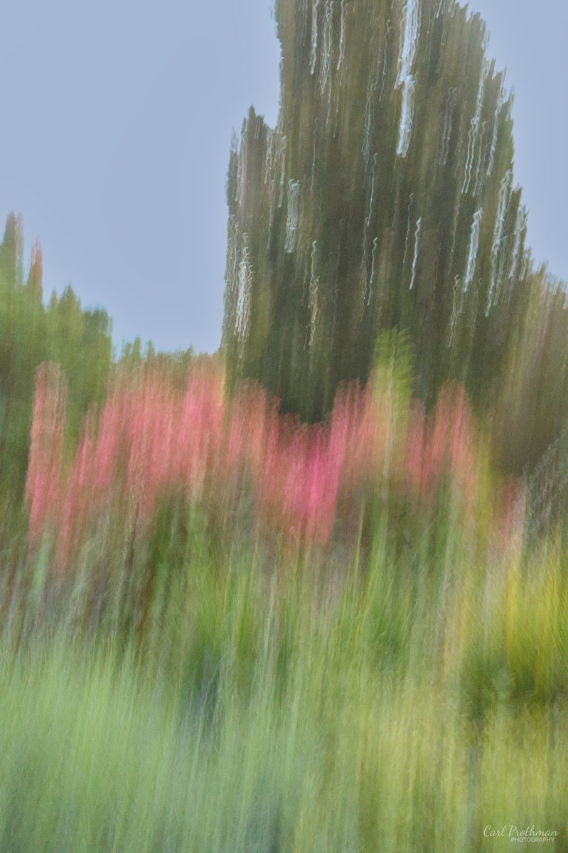 carlprothman's tweet photo. @JohnGetchel Happy #WhateverWednesday my friends!
Mine: Fireweed in Motion https://t.co/ljNUGGQihJ