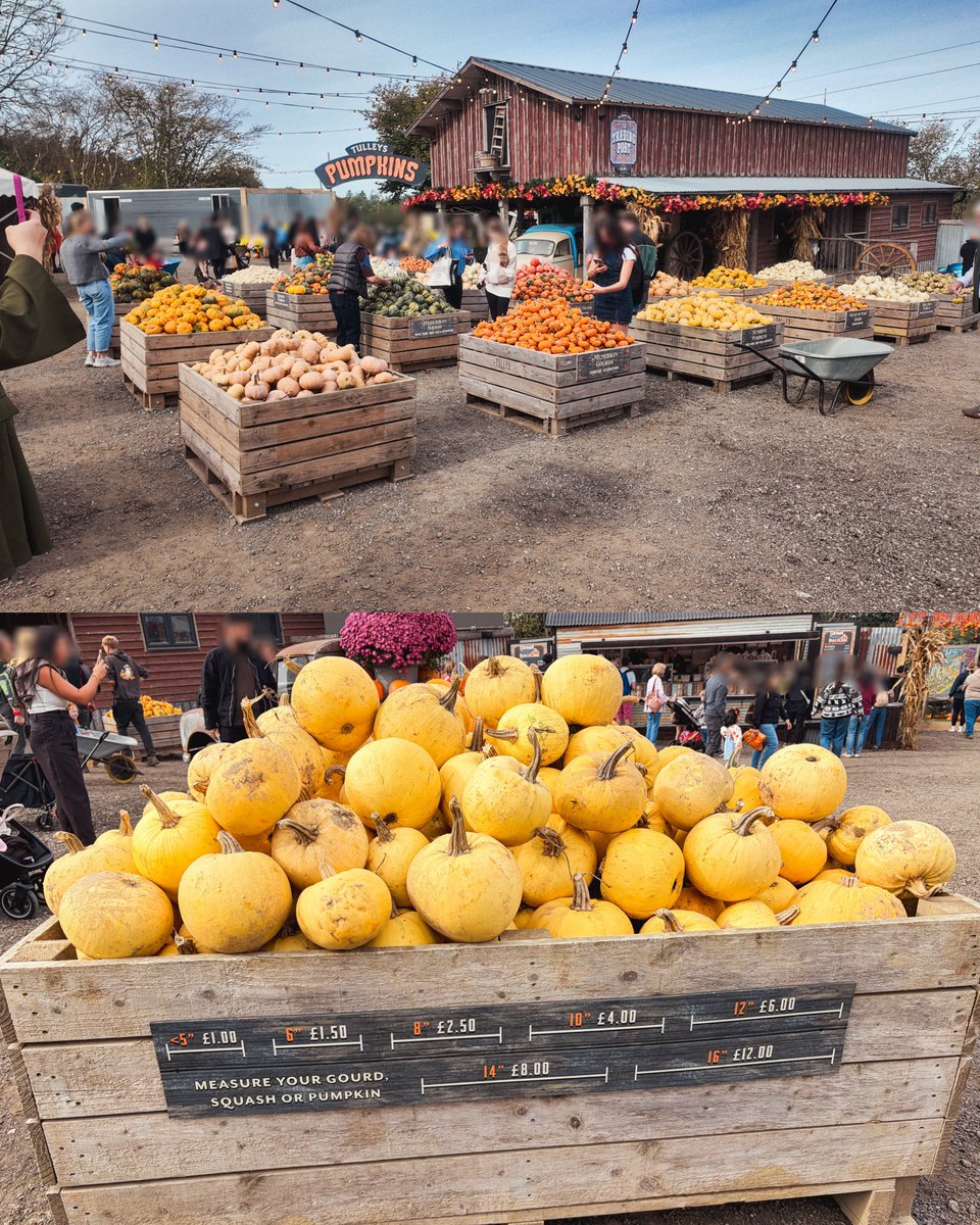 riice__pg's tweet photo. ロンドンから約1時間🚙
パンプキンフェスに行ってきました🎃

たくさんの種類・大きさがあり
メリーゴーランドや観覧車
グルメ、フォトスポットなど
とっても楽しかったです！

イギリス🇬🇧 Tulleys Pumpkin Festival https://t.co/LyAigYuIaa