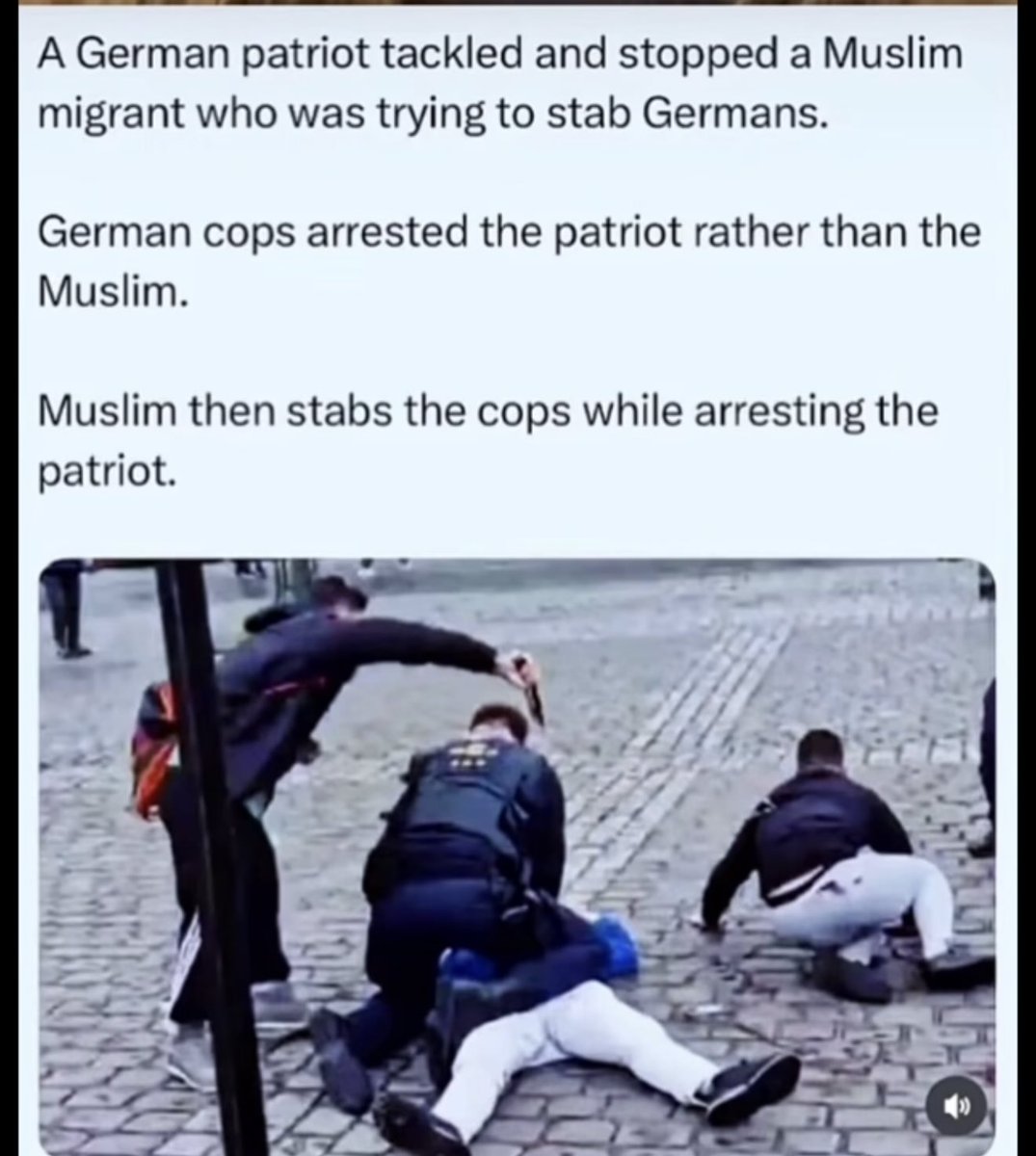 DerWulf's tweet photo. German cops arrested the patriot rather than the Muslim. https://t.co/66CkF6W7cX