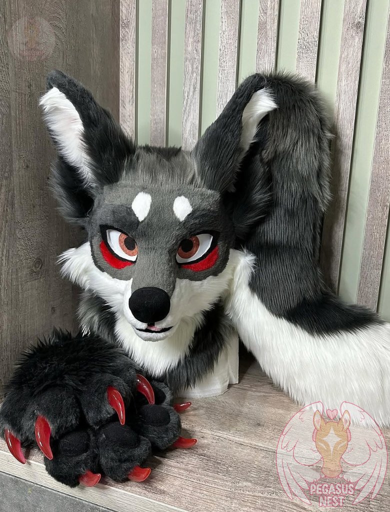 pegasusnest's tweet photo. Moon wolf, a very handsome guy) 
Commission finished)
•
•
•
#fursuit #fursuiter #fursuiting #fursuitforsale #fursuitsale #fursuitpartial #fursuitmakin #fursuitwip https://t.co/G883844RAL