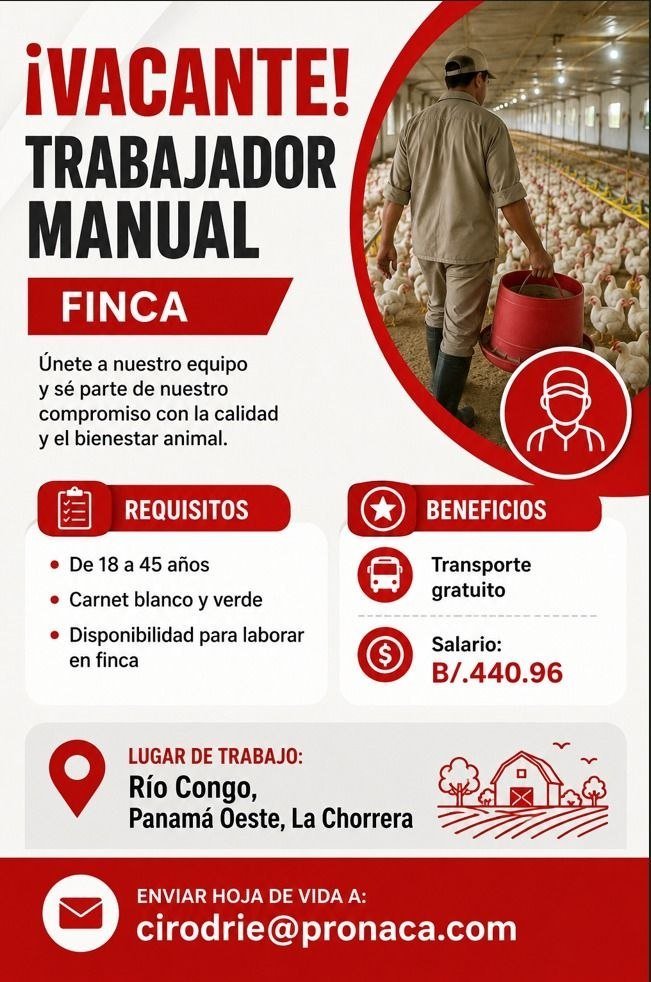 empleoscvpanama's tweet photo. Técnico de Servicio y Reparación
https://t.co/lPJqjSMkdM

Auxiliar de Servicios Generales
https://t.co/B2Li5P9X0H

Trabajador Manual
https://t.co/DqsLbrETzX

#cvpanama #panama #empleospanama #Vacantes #empleos https://t.co/gWLFTVaU65