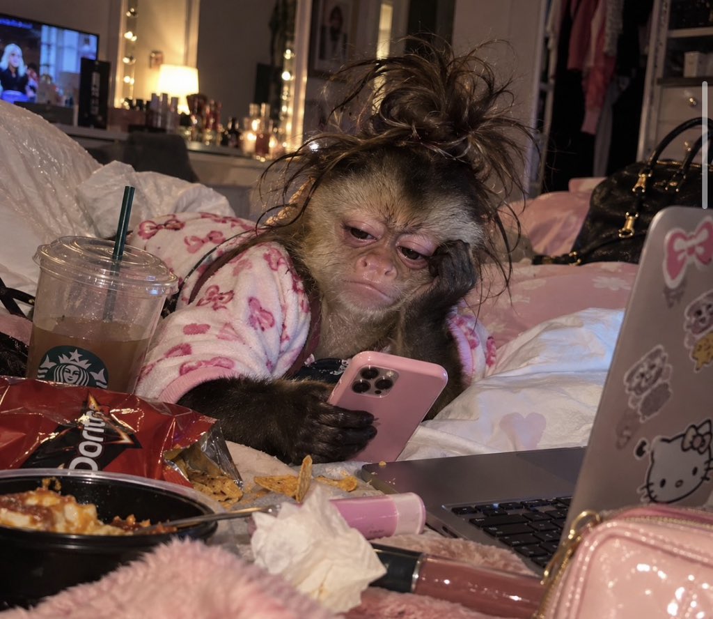 SusuDpeng's tweet photo. “Me checking my account balance after saying I deserve a little treat.” https://t.co/LfB8qXyMqo