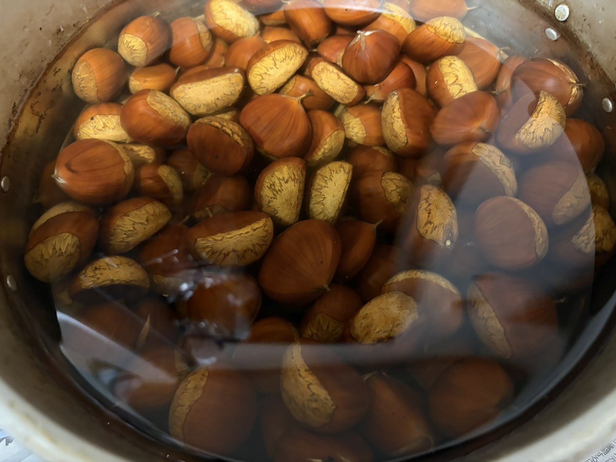 kfp61958472's tweet photo. 今朝は栗の炊き込みご飯
#秋
#栗
#炊き込みご飯
#ズボラ飯 https://t.co/2scY9g6RvU