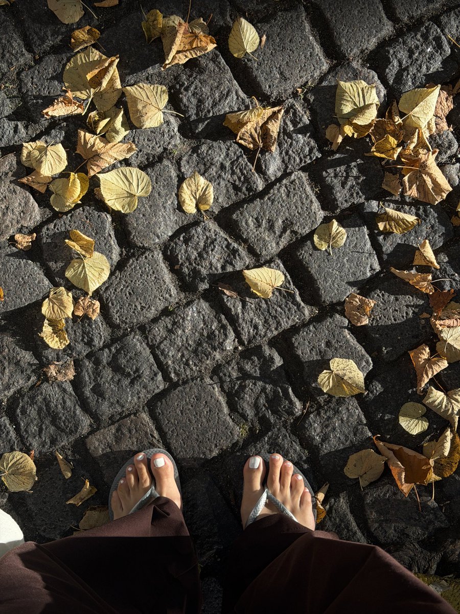 aauraarua's tweet photo. Amazing Autumn - how do you like to spend it? 🦊 #feet #flipflops #longindextoe #season #feetfetısh #colorpalet https://t.co/3oAiqCXPGV