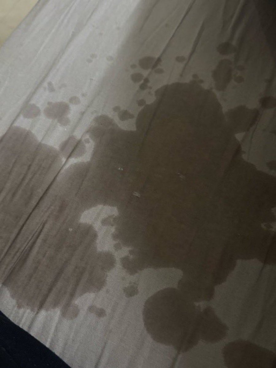 cybersigils's tweet photo. a video of eel and horse porn came up and i started age regressing and peed everywhere omg im so messy😭😭 https://t.co/S6alwSFq4I