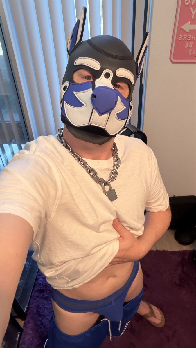 PupCodySF's tweet photo. Jocktober check-in 🐶🐾 https://t.co/PSGwLXVMaX