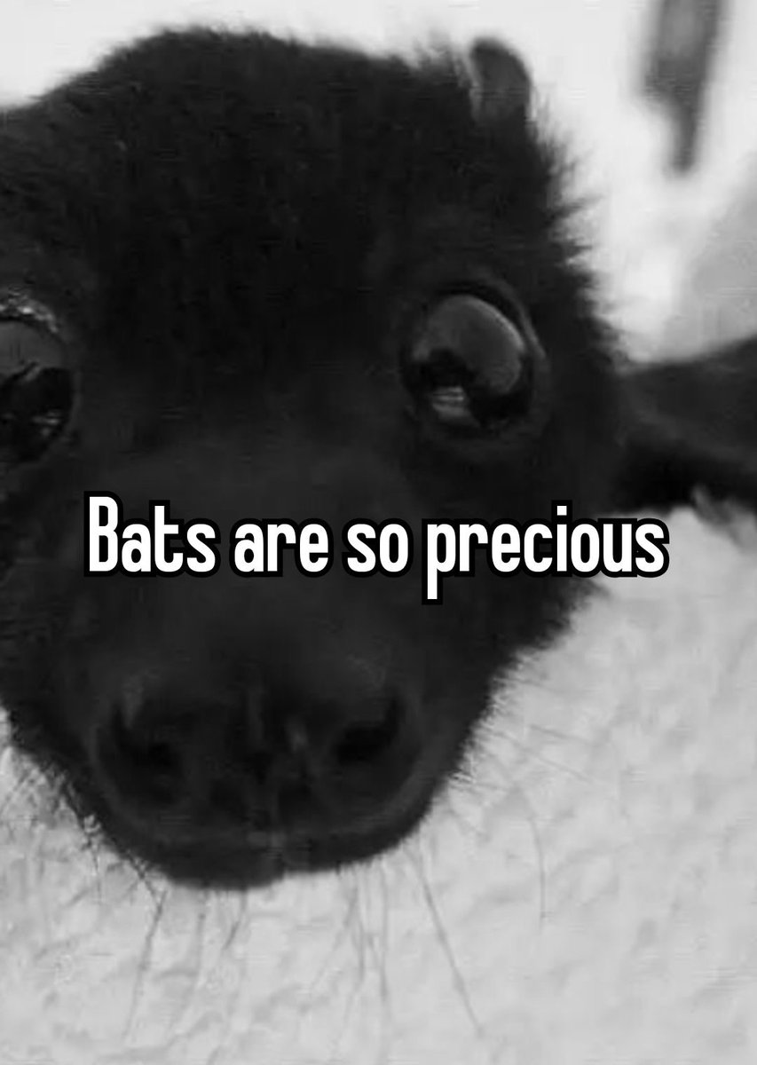 battwting's tweet photo. https://t.co/MK74iflBnP