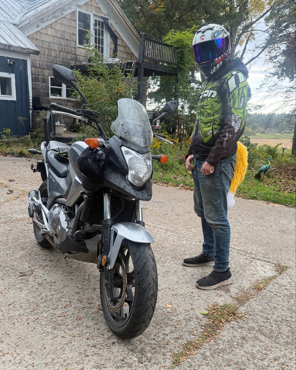 TheHondaFox's tweet photo. Taking the NC7 out for one last ride before the season ends. Been a great season for bikes. Can’t wait for next year. This bikes getting a complete overhaul next year. Cheers to all my biker furs out there. Stay safe, and have fun! ❤️ https://t.co/SHcL0431GF