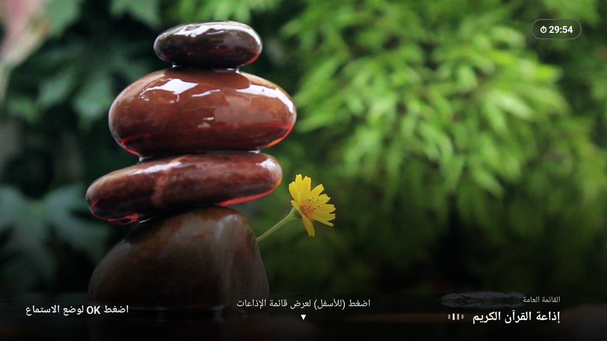 IFQsa tweet picture