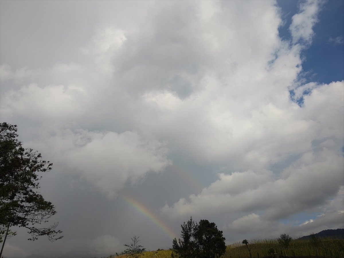 Amtrzs's tweet photo. 😀☀🌈 https://t.co/NDbeqttPGh