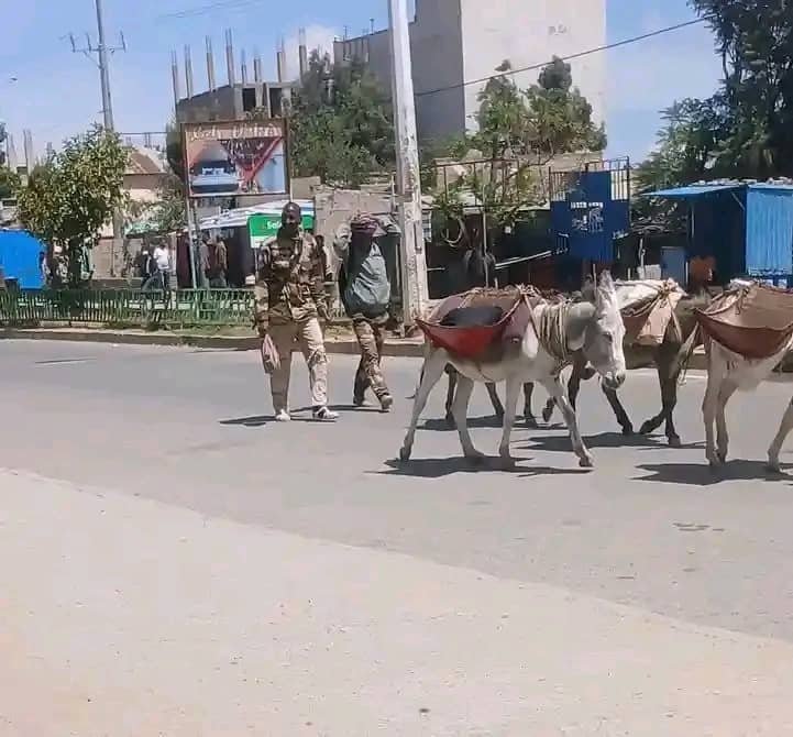 EthioTube tweet picture