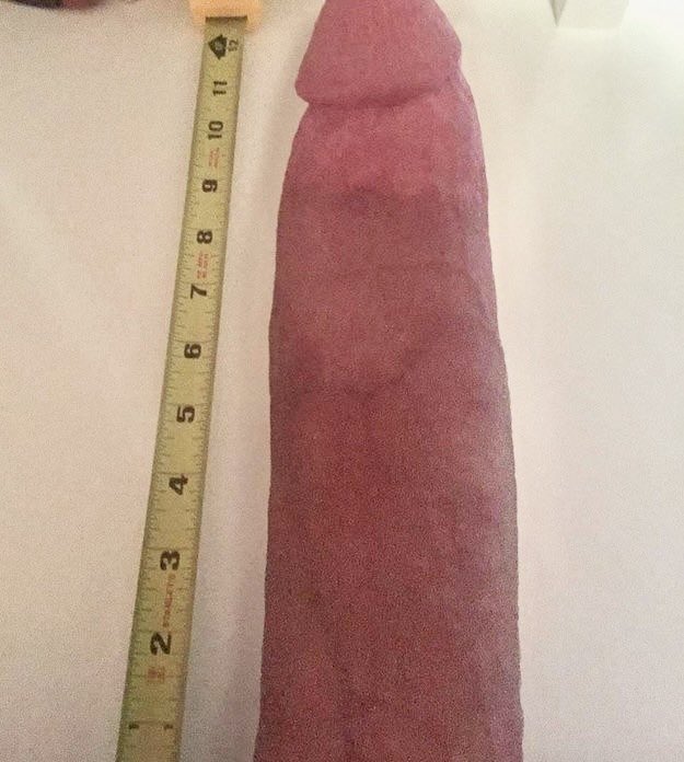 PapiRulerDick tweet picture