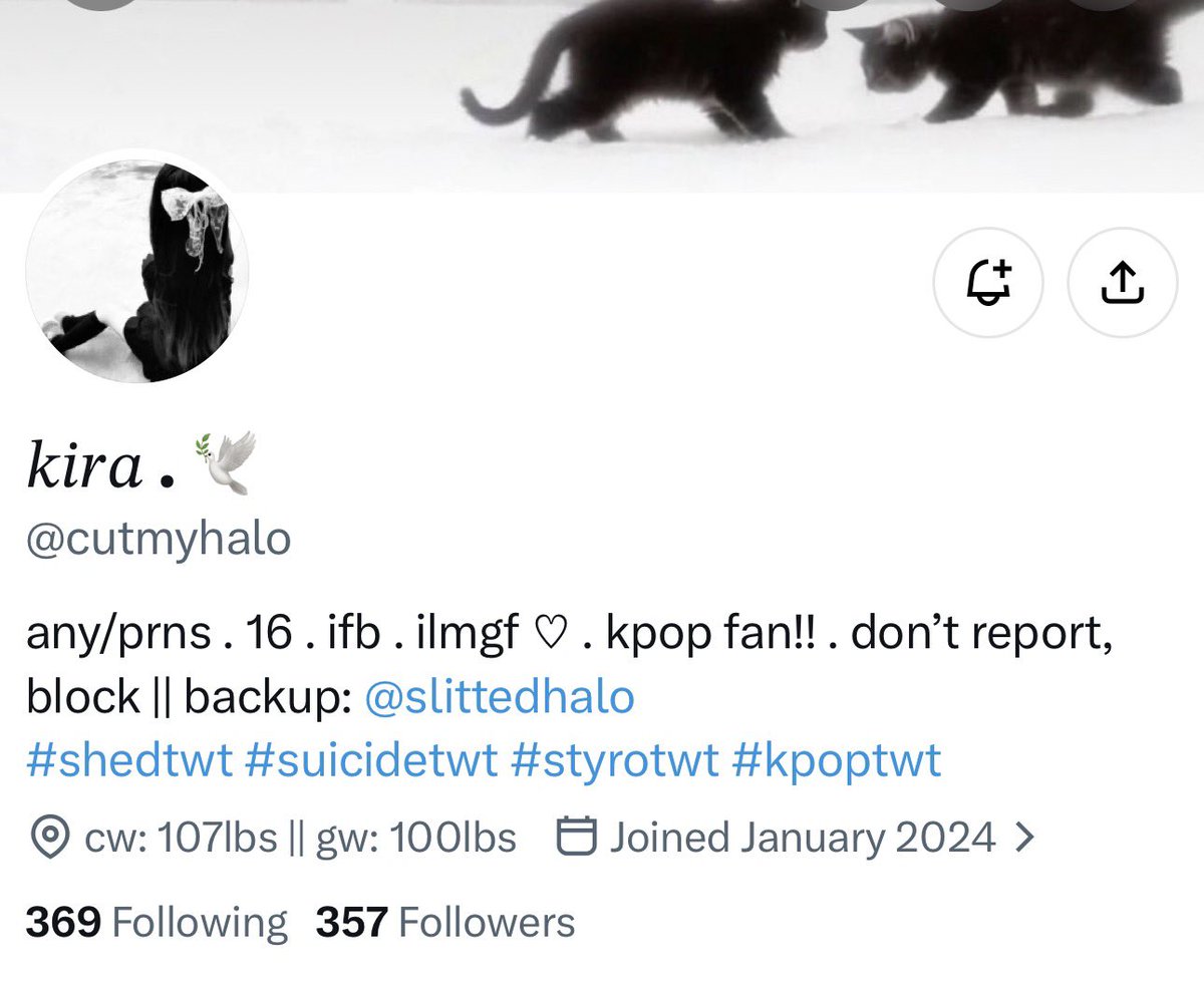 doublecvt's tweet photo. #moothunt if you were ever friends with this acc, add me bc i miss ygs 😋 (this was my main acc but my gf found it so i started fresh)
#shedrtwt #shedtwt #shrtwt #shtwt #suicidetwt #moothunt〃・ #promotwtㅤ https://t.co/iDKz7Z6TrK