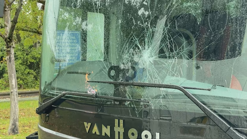 BasilTheGreat's tweet photo. 🚨NEWS: Police have launched investigations after multiple coaches used to transport migrants have been targeted and attacked while parked up https://t.co/3DMKbN0IeZ